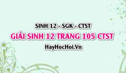 Giải Sinh 12 trang 105 Chân trời sáng tạo SGK
